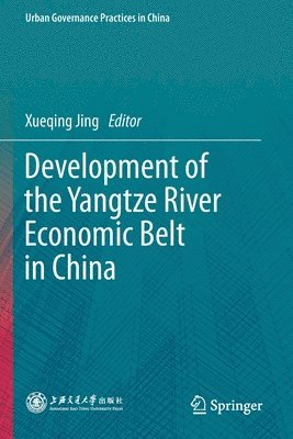 bokomslag Development of the Yangtze River Economic Belt in China