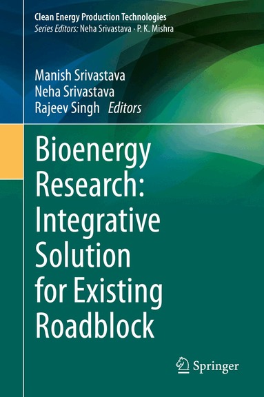 Manish Srivastava, Neha Srivastava, Rajeev Singh - Bioenergy Research: Integrative Solution for Existing Roadblock, Inbunden