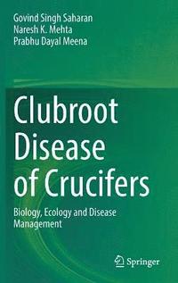 bokomslag Clubroot Disease of Crucifers