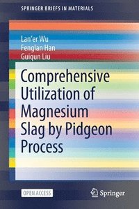bokomslag Comprehensive Utilization of Magnesium Slag by Pidgeon Process