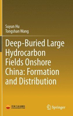bokomslag Deep-Buried Large Hydrocarbon Fields Onshore China: Formation and Distribution