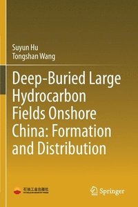bokomslag Deep-Buried Large Hydrocarbon Fields Onshore China: Formation and Distribution