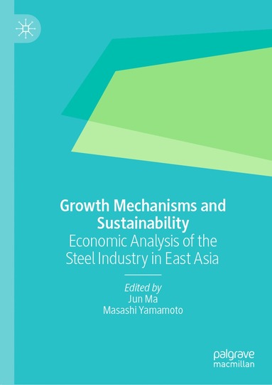 bokomslag Growth Mechanisms and Sustainability