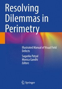 bokomslag Resolving Dilemmas in Perimetry