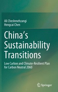 bokomslag China's Sustainability Transitions