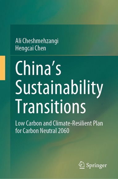 bokomslag China's Sustainability Transitions