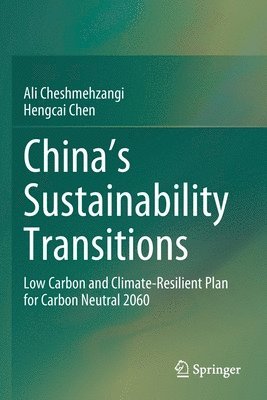 bokomslag China's Sustainability Transitions