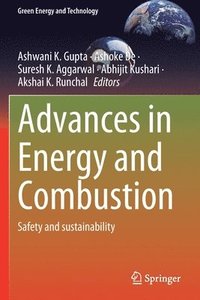 bokomslag Advances in Energy and Combustion