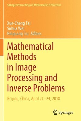 bokomslag Mathematical Methods in Image Processing and Inverse Problems