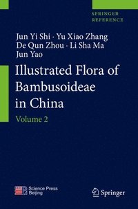 bokomslag Illustrated Flora of Bambusoideae in China