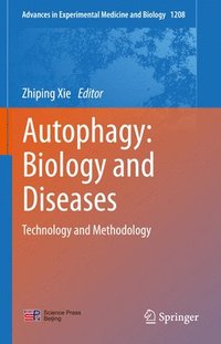 bokomslag Autophagy: Biology and Diseases