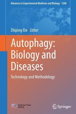 bokomslag Autophagy: Biology and Diseases