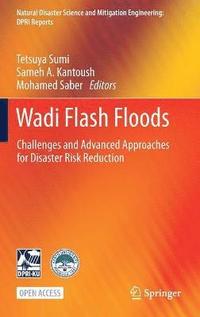 bokomslag Wadi Flash Floods