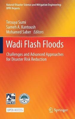 Wadi Flash Floods 1