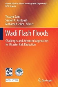 bokomslag Wadi Flash Floods
