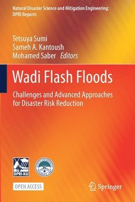 bokomslag Wadi Flash Floods