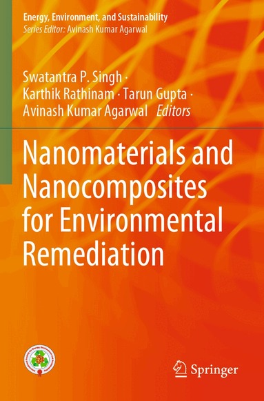 Swatantra P. Singh, Karthik Rathinam, Tarun Gupta, Avinash Kumar Agarwal - Nanomaterials and Nanocomposites for Environmental Remediation, Häftad