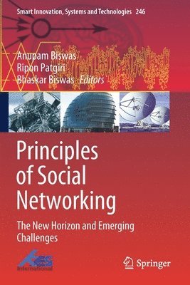 Principles of Social Networking 1