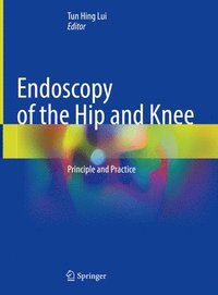bokomslag Endoscopy of the Hip and Knee