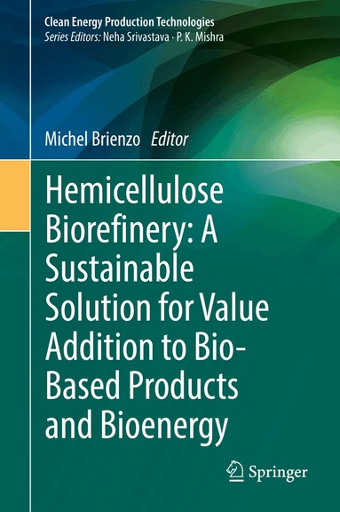 Michel Brienzo - Hemicellulose Biorefinery: A Sustainable Solution for Value Addition to Bio-Based Products and Bioenergy, Inbunden