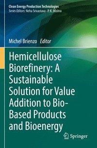 bokomslag Hemicellulose Biorefinery: A Sustainable Solution for Value Addition to Bio-Based Products and Bioenergy