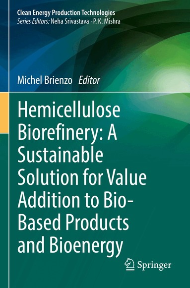 Michel Brienzo - Hemicellulose Biorefinery: A Sustainable Solution for Value Addition to Bio-Based Products and Bioenergy, Häftad