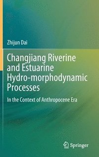bokomslag Changjiang Riverine and Estuarine Hydro-morphodynamic Processes