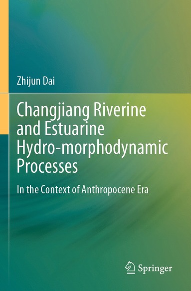 bokomslag Changjiang Riverine and Estuarine Hydro-morphodynamic Processes