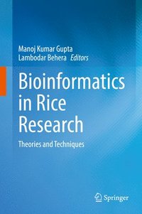 bokomslag Bioinformatics in Rice Research