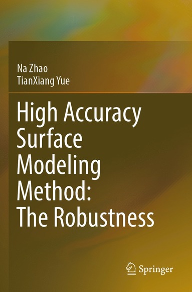 bokomslag High Accuracy Surface Modeling Method: The Robustness