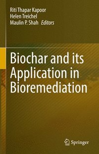 bokomslag Biochar and its Application in Bioremediation