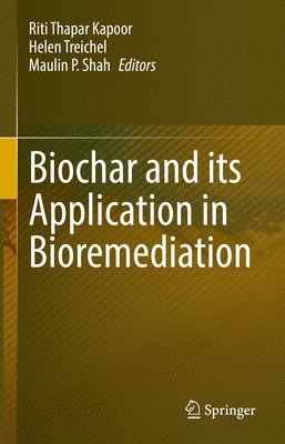 bokomslag Biochar and its Application in Bioremediation