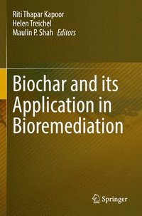 bokomslag Biochar and its Application in Bioremediation