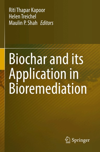 Riti Thapar Kapoor, Helen Treichel, Maulin P. Shah - Biochar and its Application in Bioremediation, Häftad