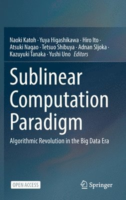 bokomslag Sublinear Computation Paradigm