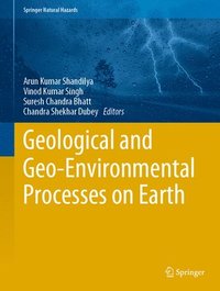 bokomslag Geological and Geo-Environmental Processes on Earth