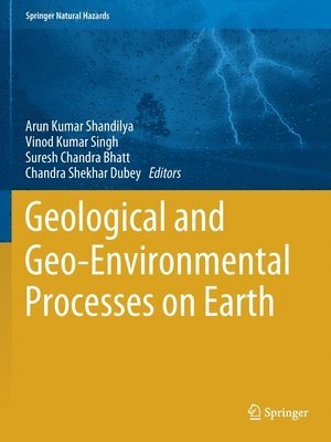 bokomslag Geological and Geo-Environmental Processes on Earth