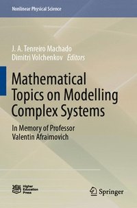 bokomslag Mathematical Topics on Modelling Complex Systems