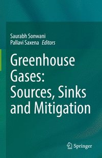 bokomslag Greenhouse Gases: Sources, Sinks and Mitigation