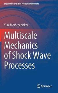 bokomslag Multiscale Mechanics of Shock Wave Processes