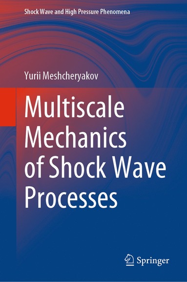bokomslag Multiscale Mechanics of Shock Wave Processes