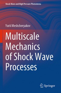 bokomslag Multiscale Mechanics of Shock Wave Processes