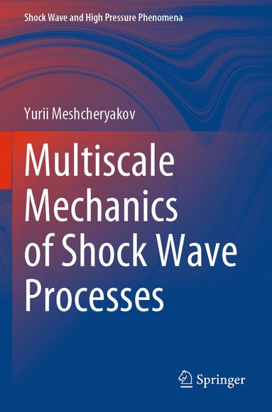 bokomslag Multiscale Mechanics of Shock Wave Processes