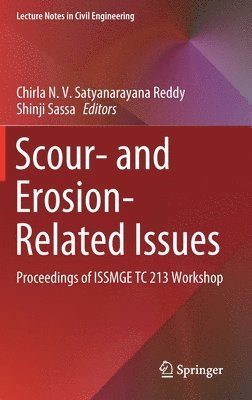 Scour- and Erosion-Related Issues 1