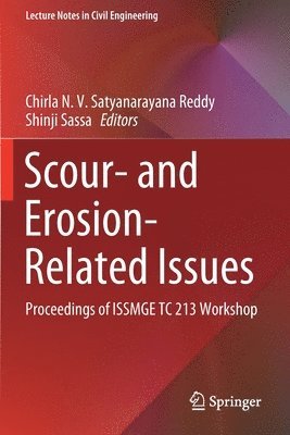 Scour- and Erosion-Related Issues 1