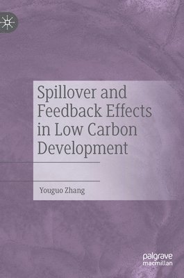 Youguo Zhang - Spillover and Feedback Effects in Low Carbon Development, Inbunden