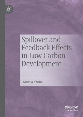 bokomslag Spillover and Feedback Effects in Low Carbon Development