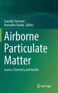 bokomslag Airborne Particulate Matter