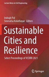 bokomslag Sustainable Cities and Resilience