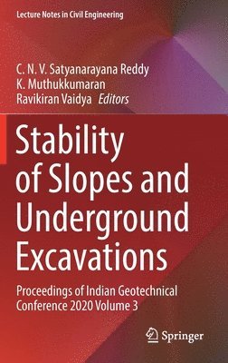 bokomslag Stability of Slopes and Underground Excavations